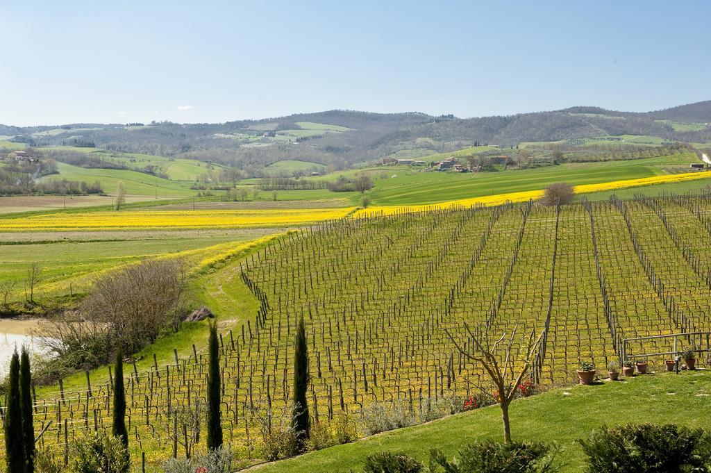 Hotel Agriturismo La Corte Dei Sogni Torrita di Siena Exteriér fotografie